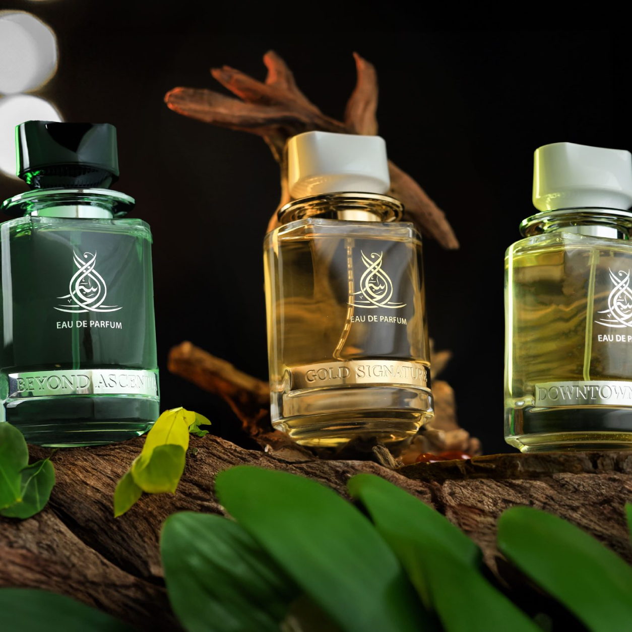 حيث يلتقي التراث العربي بالفخامة العصرية